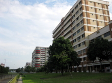 Blk 542 Hougang Avenue 8 (S)530542 #244542